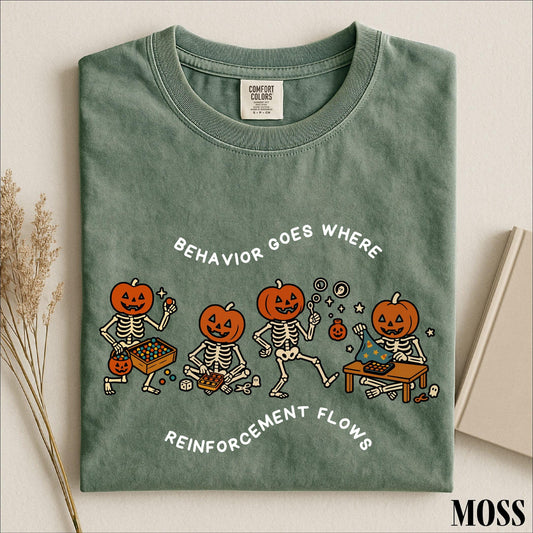 Behavior Goes Where Reinforcement Flows Shirt, ABA Therapist Graphic Tee, Behavior Analyst Comfort Colors T-Shirt Gift for BCBA and Teachers
