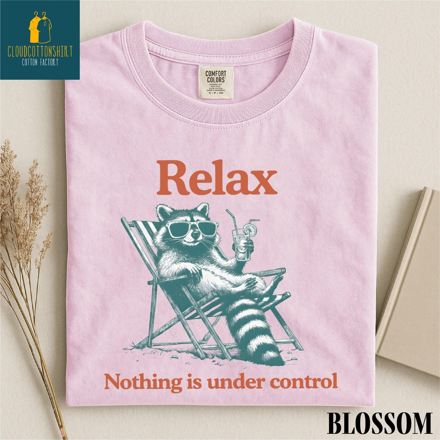 Relax Nothing Is Under Control Raccoon Shirt, Funny Trash Panda Sweater, Chill Vibe Sweatshirt, Funny Raccoon Comfort Colors T-Shirt