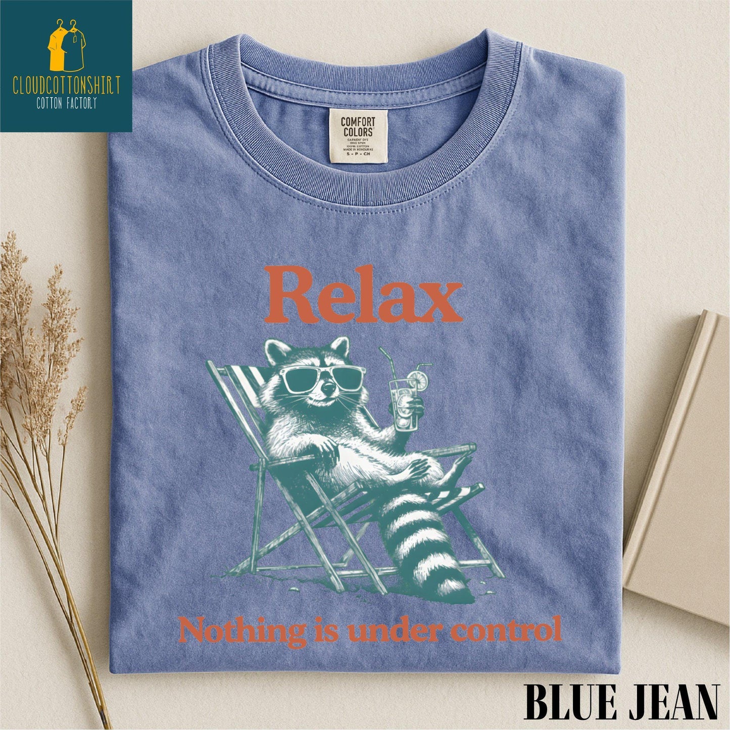 Relax Nothing Is Under Control Raccoon Shirt, Funny Trash Panda Sweater, Chill Vibe Sweatshirt, Funny Raccoon Comfort Colors T-Shirt